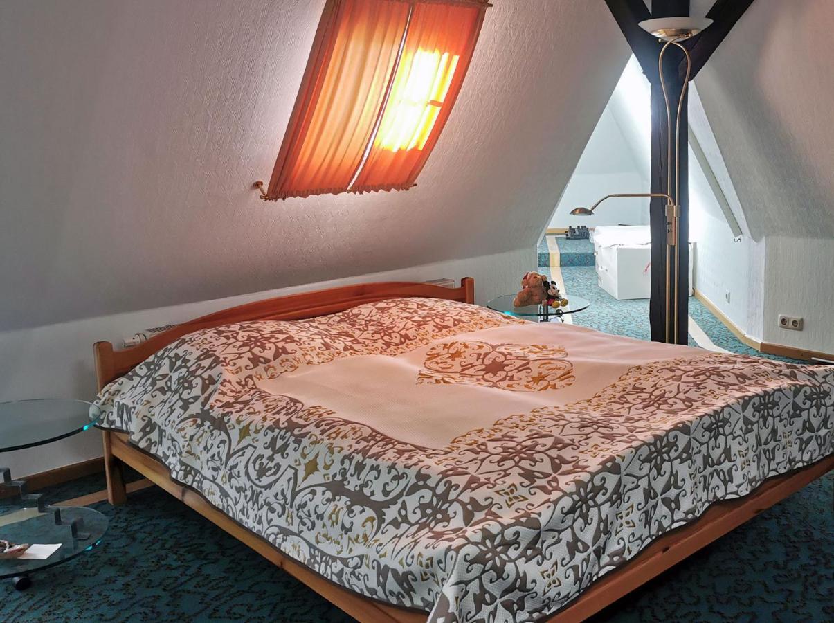 Apartment In Villa Rochlitz Extérieur photo
